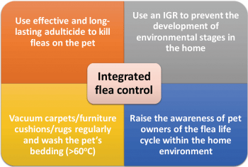 Figure 5. An integrated approach for flea control.