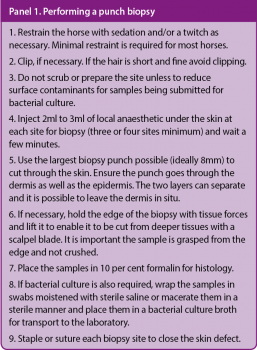 Panel 1. Performing a punch biopsy.