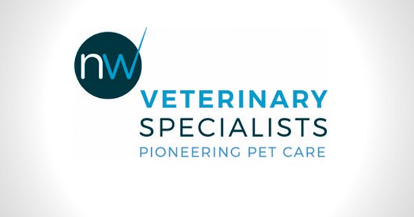 Northwest vet specialists 2025