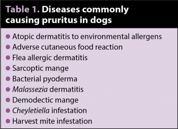 Table 1. Diseases commonly causing pruritus in dogs.