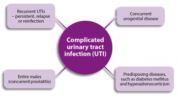 Figure 1. Common factors that may indicate the presence of a complicated UTI.