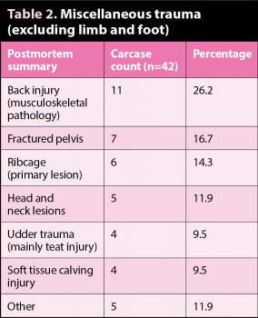 Table 2. Miscellaneous trauma (excluding limb and foot).