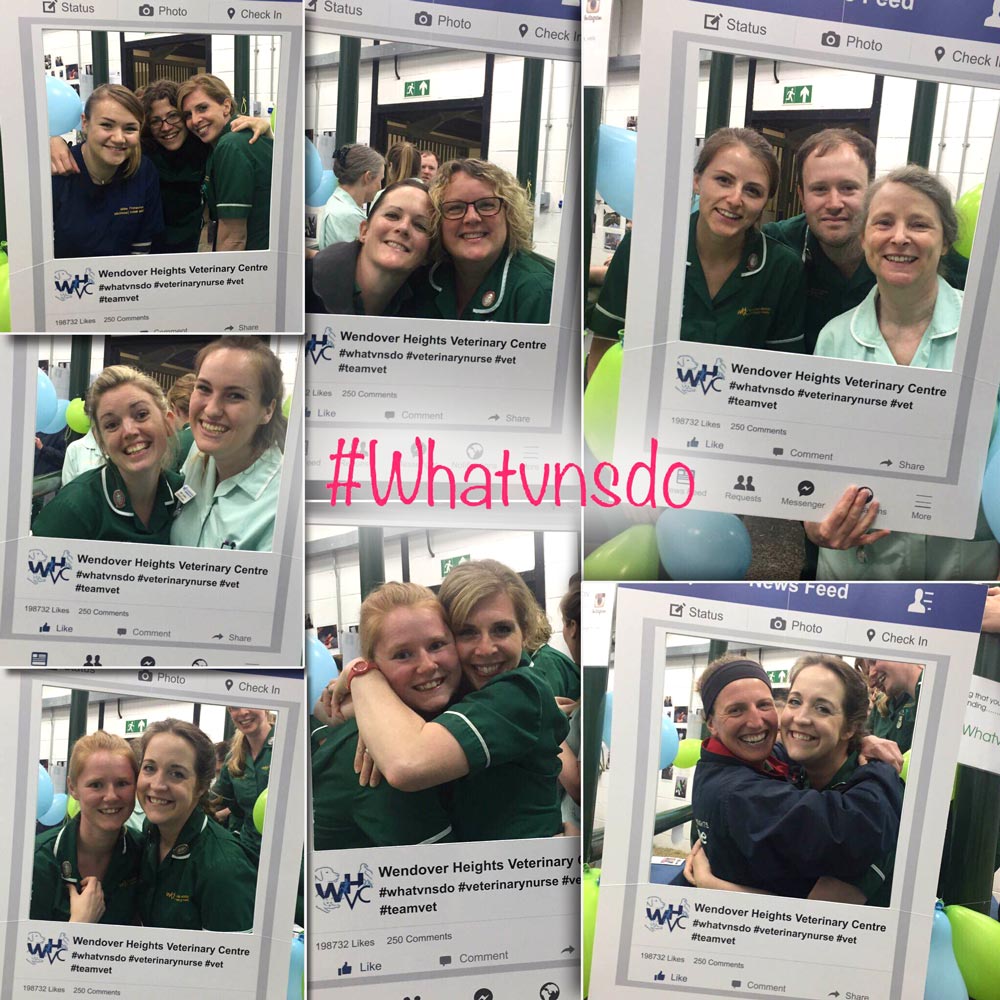 VNAM prompts careers fair creation Vet Times