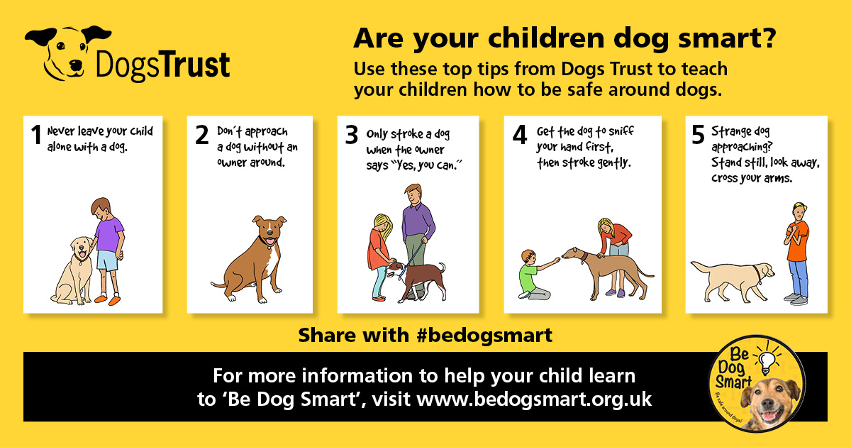 Dogs Trust initiative aims to teach kids key canine safety