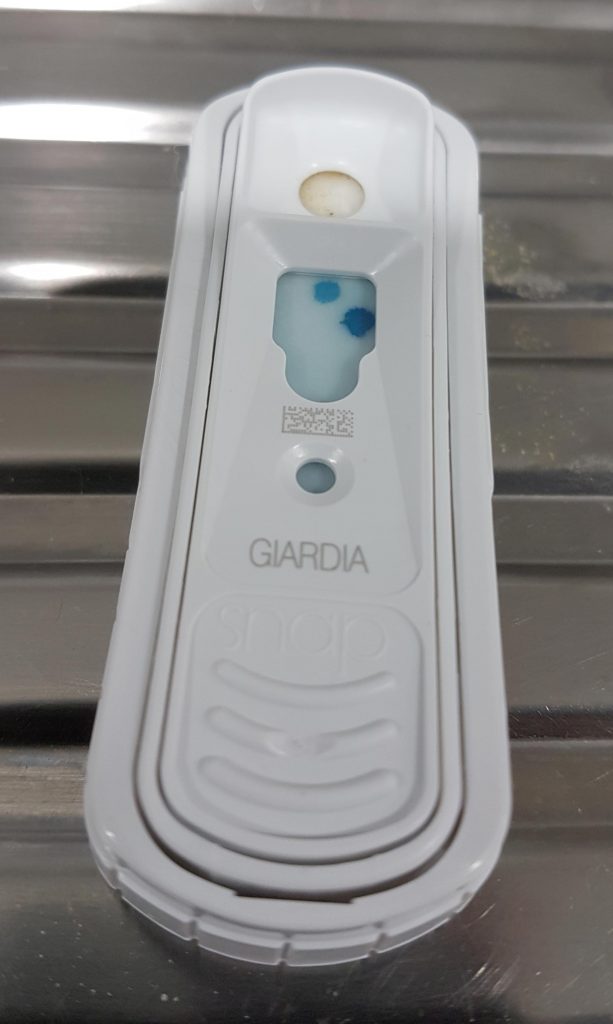 giardia elisa test