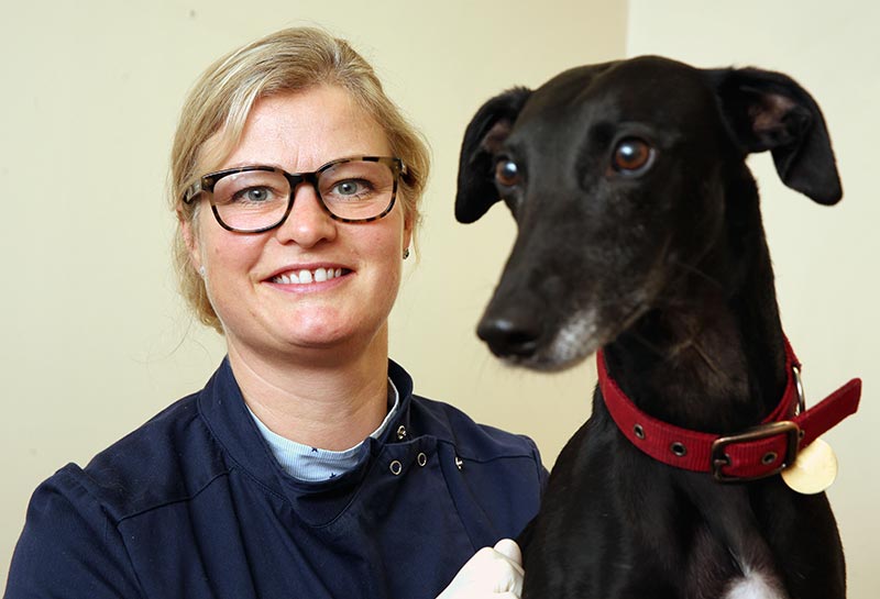 Honor Etherington joins Hadrian Vets on 27 June.