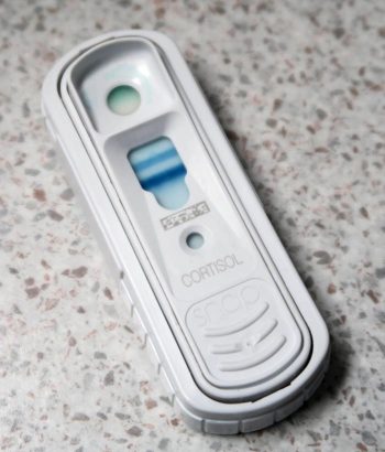SNAP cortisol test