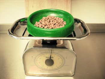 Weighing dog food