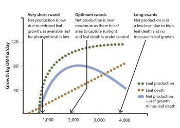 Figure 2. Grass production at different growth rates. 