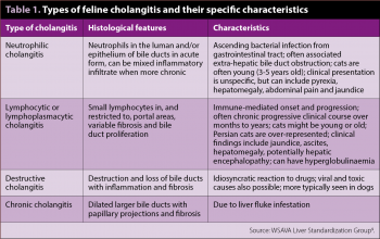 Table 1. Types of feline cholangitis and their specific characteristics.