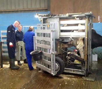 Pieter Kloosterman and Ceila Maddock examining a Dutch foot diploma candidate.