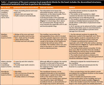 Table 1. A summary of the most common local anaesthetic blocks for the head. Includes the desensitised structures, anatomical landmarks and how to perform the technique