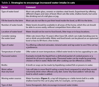 Table 2. Strategies to encourage increased water intake in cats.