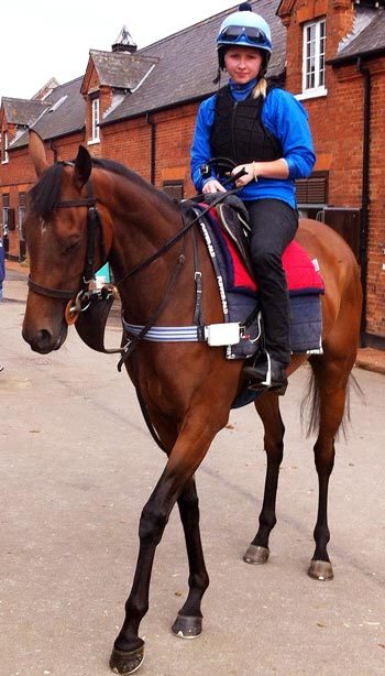 Figure 3. An ECG recording device is attached to this horse’s breast girth and electrodes are positioned under the tack to record during exercise.