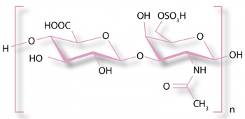 The chemical structure of chondroitin.