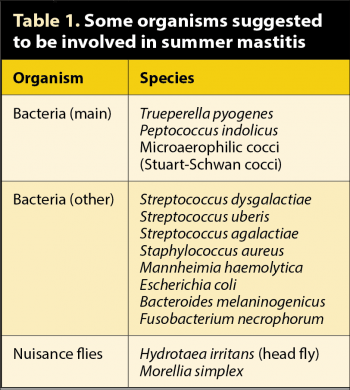 Table 1. Some organisms suggested to be involved in summer mastitis.