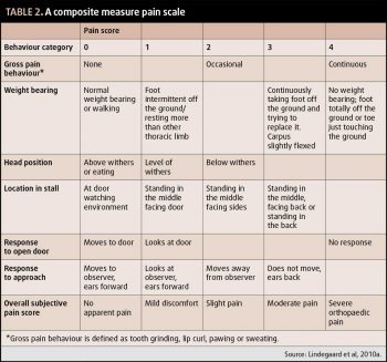 Table 2. A composite measure pain scale.