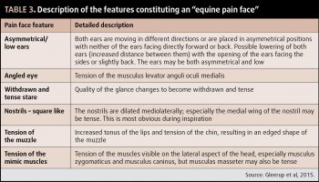 Table 3. Description of the features constituting an “equine pain face”.