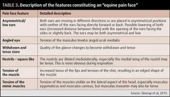 Table 3. Description of the features constituting an “equine pain face”.