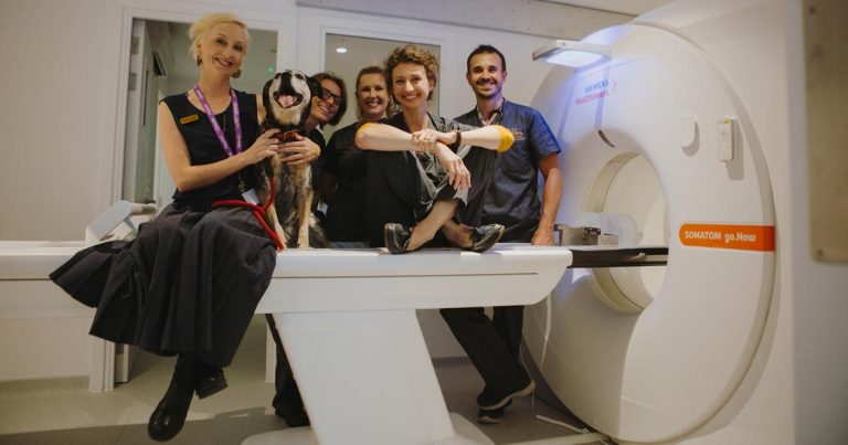 24 hour animal hospital near me 24 hour animal hospital near me
