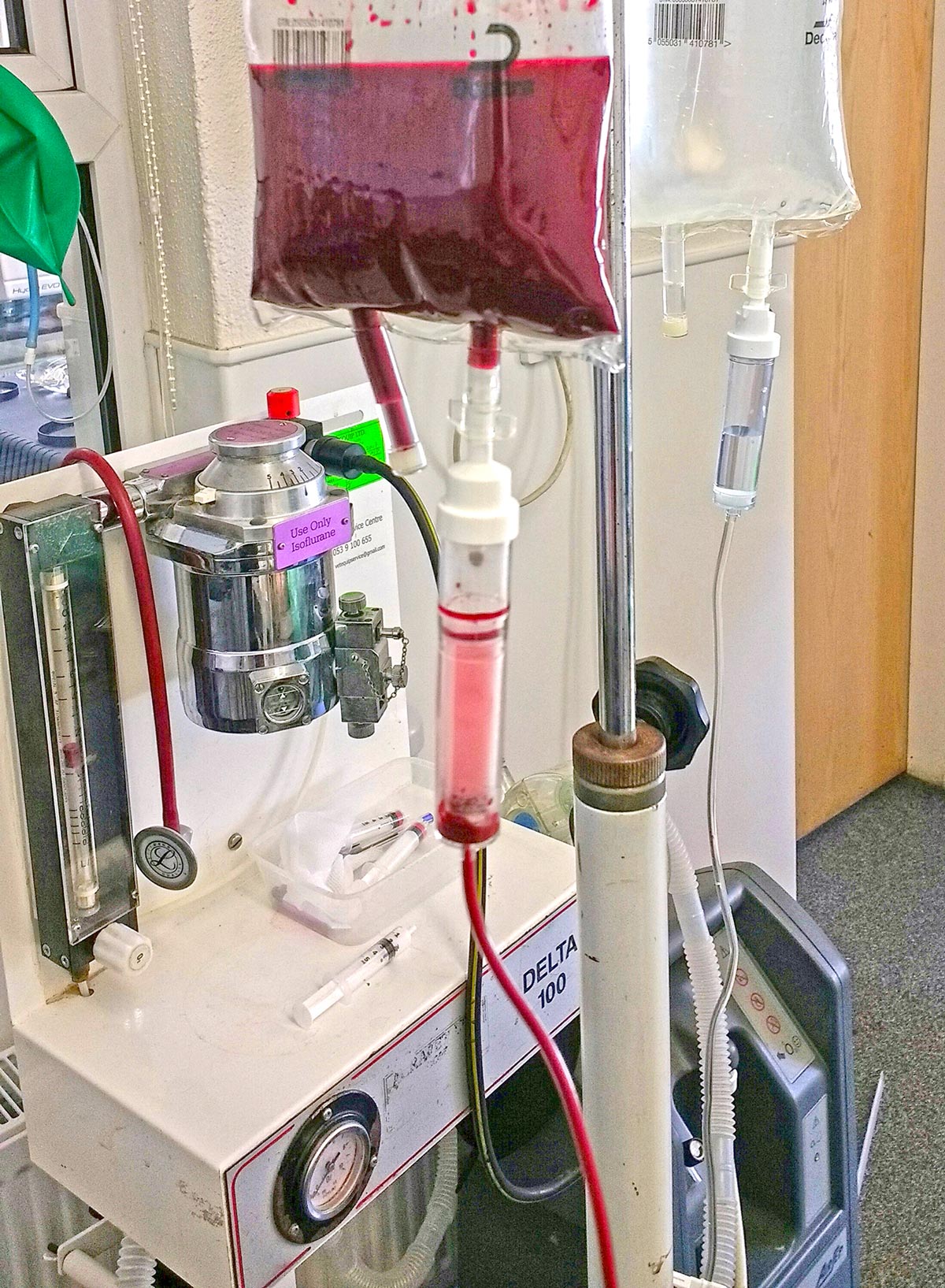 Figure 2. Auto-transfusion.