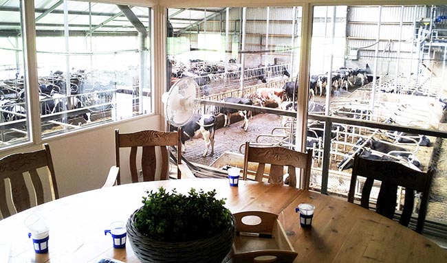 This farmer has put an office high above the cows so he has an excellent viewing platform while he works.