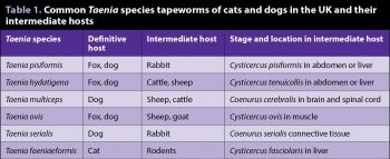 Table 1. Common Taenia species tapeworms of cats and dogs in the UK and their intermediate hosts.