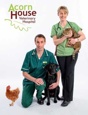 Vet hospital joins campaign to promote autism awareness | Vet Times