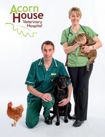 Vet hospital joins campaign to promote autism awareness | Vet Times Vet hospital joins campaign to promote autism awareness | Vet Times