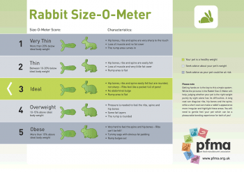Figure 2. The Pet Food Manufacturers’ Association guide to ideal rabbit size (http://bit.ly/2gC9RKW). Kindly reproduced with permission of the PFMA.