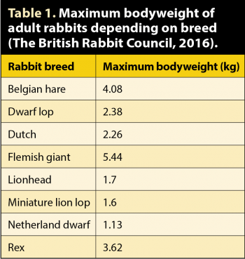 Table 1. Maximum bodyweight of adult rabbits depending on breed (The British Rabbit Council, 2016).