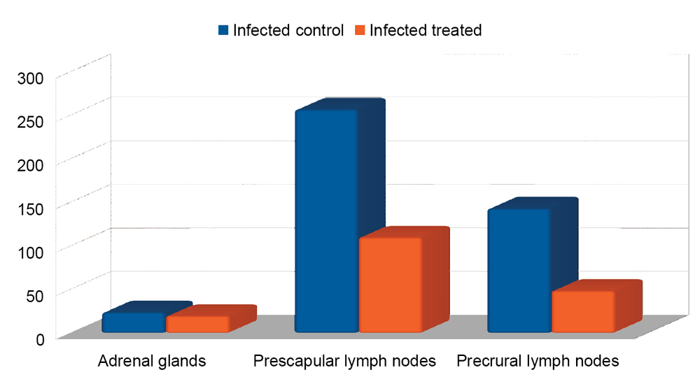 Figure 4 . The impact of sarcoptic mange in cattle on adrenal gland and drainage lymph nodes. All differences between treated and control animals were significant (P>0.05).