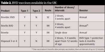 Table 2. BVD vaccines available in the UK. (This table was amended on 11 September, 2017 to update a new claim for Bovilis BVD).