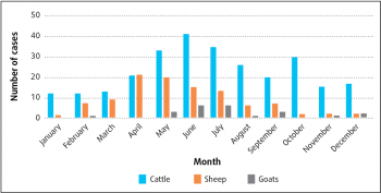 Figure 2. VIDA data for cattle, sheep and goat submissions by month in 2015