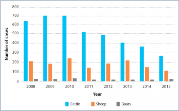 Figure 3. VIDA data for cattle, sheep and goats showing year-by-year trends of coccidiosis diagnoses from 2008 to 2015.