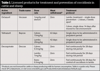 Table 1. Licensed products for treatment and prevention of coccidiosis in cattle and sheep.