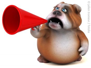 dog