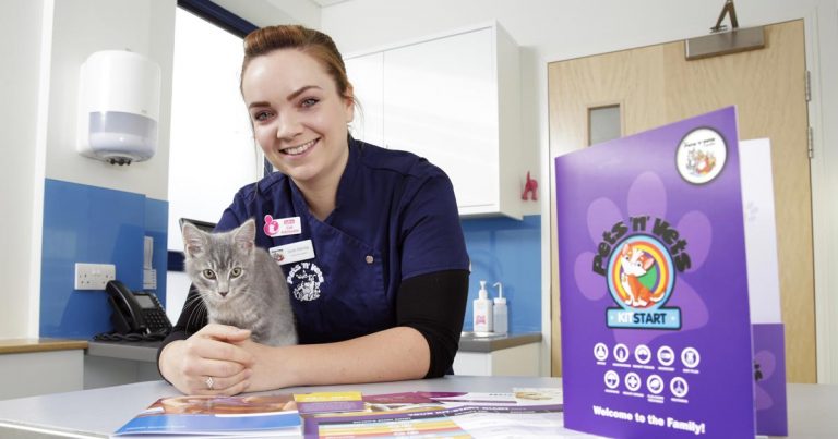 First fully integrated kitten care package launched Vet Times