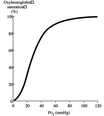 Oxyhaemoglobin dissociation curve