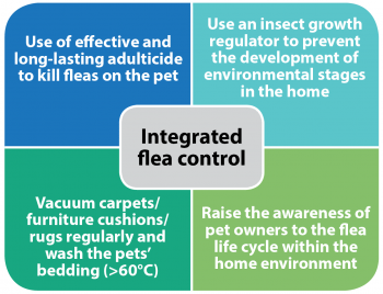 Figure 3. An integrated approach for flea control.