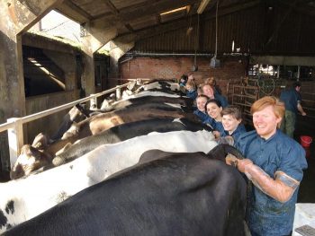 Figure 2. In earlier years our students have practised rectal examination in simulation models. Now, in year three, it is time to move on to the real thing. We work with a local private dairy farm, which gives us a good opportunity to discuss how to approach biosecurity on routine visits. IMAGE: Wendela Wapenaar.