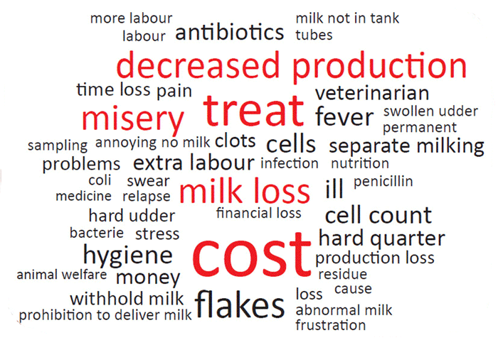 Figure 1. Words farmers most associate with mastitis.