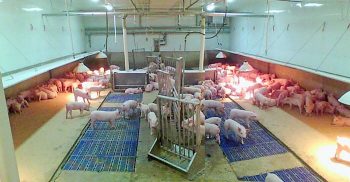 The nursery thermal zones. This picture is a general view.