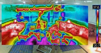 The same image through an infrared camera (hotter is red/white, colder is blue/black).