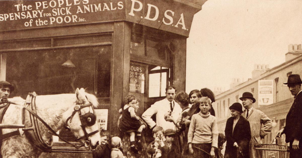 PDSA celebrates 100th birthday | Vet Times PDSA celebrates 100th birthday | Vet Times
