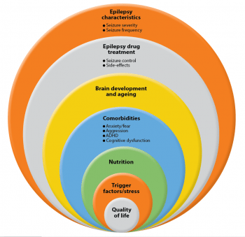 Figure 2. Quality of life is at the centre of successful epilepsy management, for which various factors need to be considered.