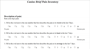 The Canine Brief Inventory of Pain scoring system. IMAGE: University of Pennsylvania School of Veterinary Medicine.