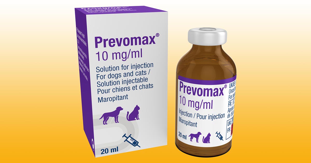 Anti vomiting meds shop for dogs