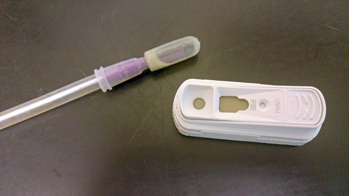Figure 2. A commercially available patient-side parvovirus test.