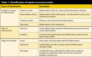 Table 1. Classification of equine recurrent uveitis.